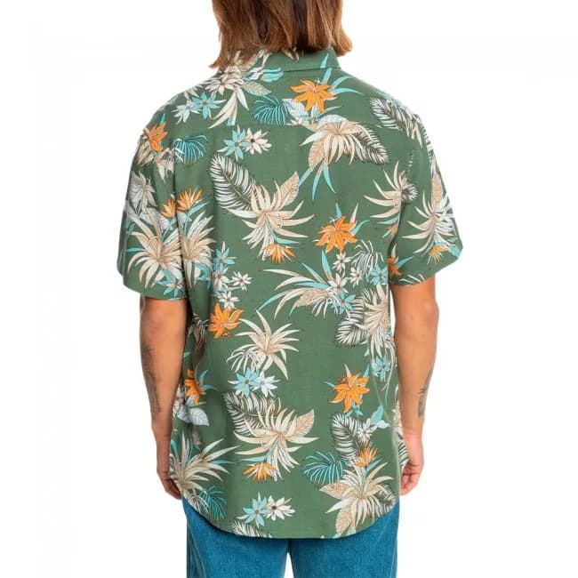 Quiksilver Lemnas