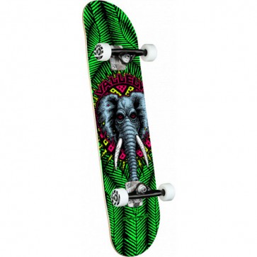SK8 POWELL PERALTA VALLEY ELEPHANT BIRCH 8.0 COMPLETE